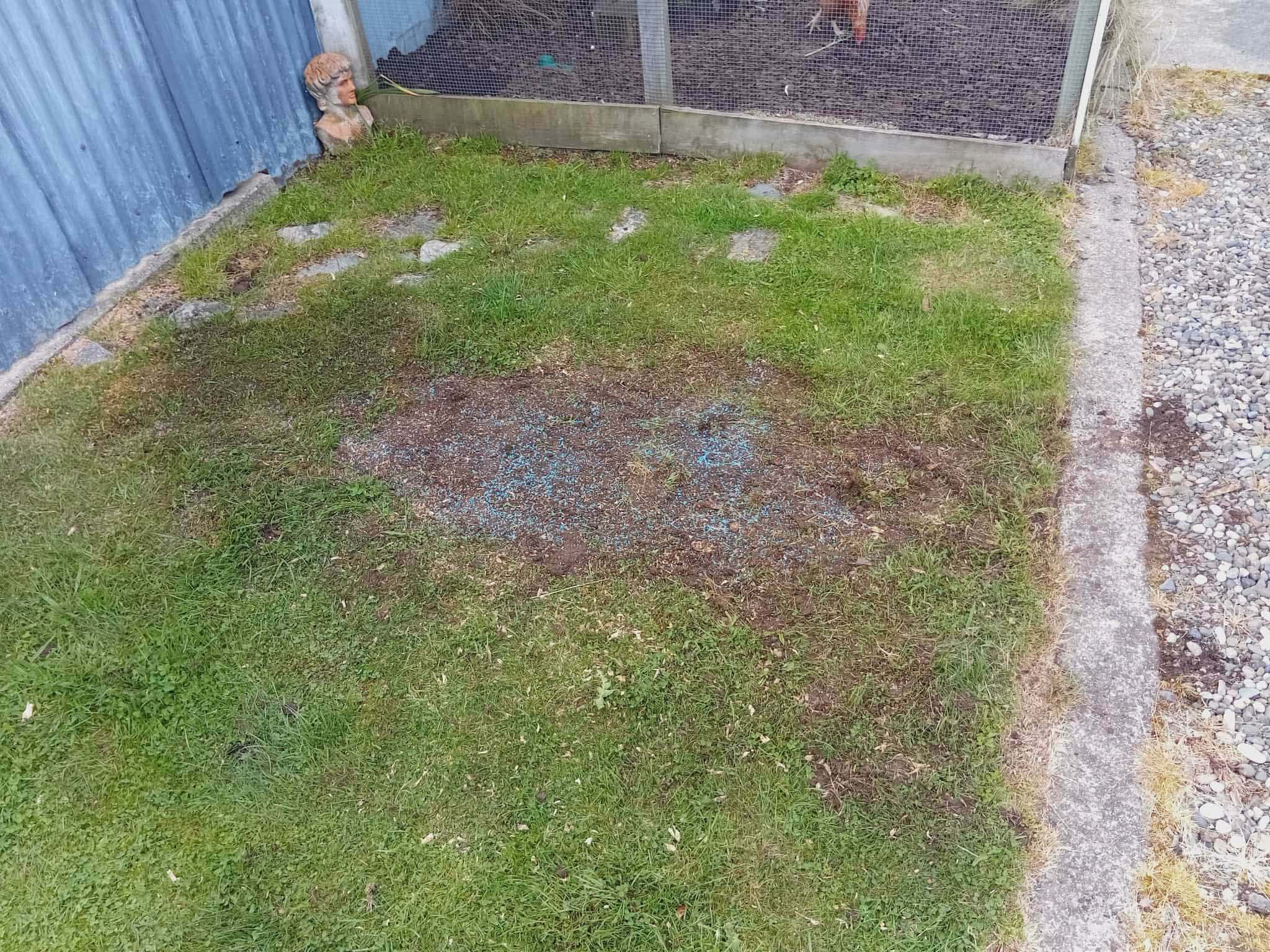 Job 3 after storm cleanup