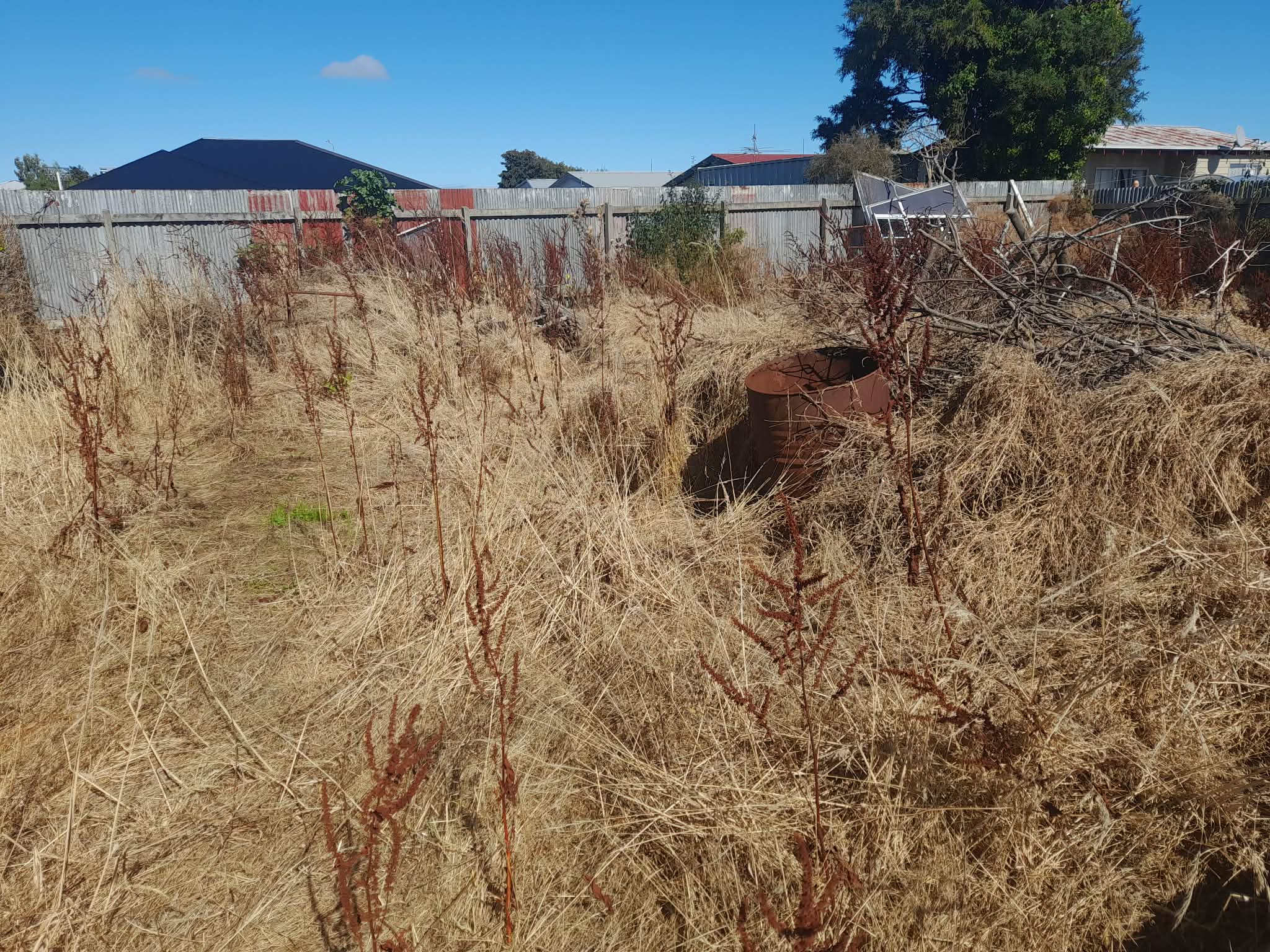 Job 1 before stump grinding